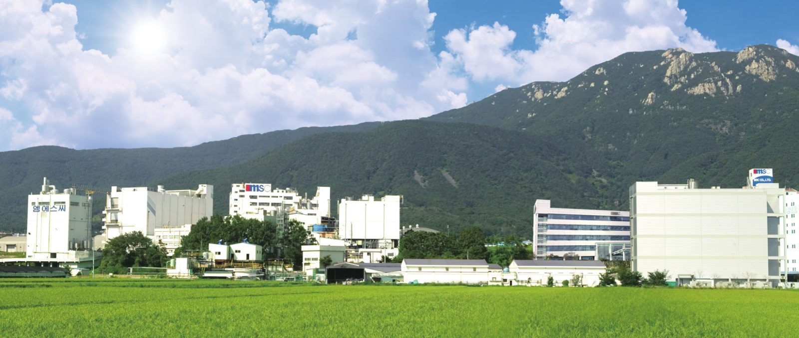 경남 양산 엠에스씨 공장 전경