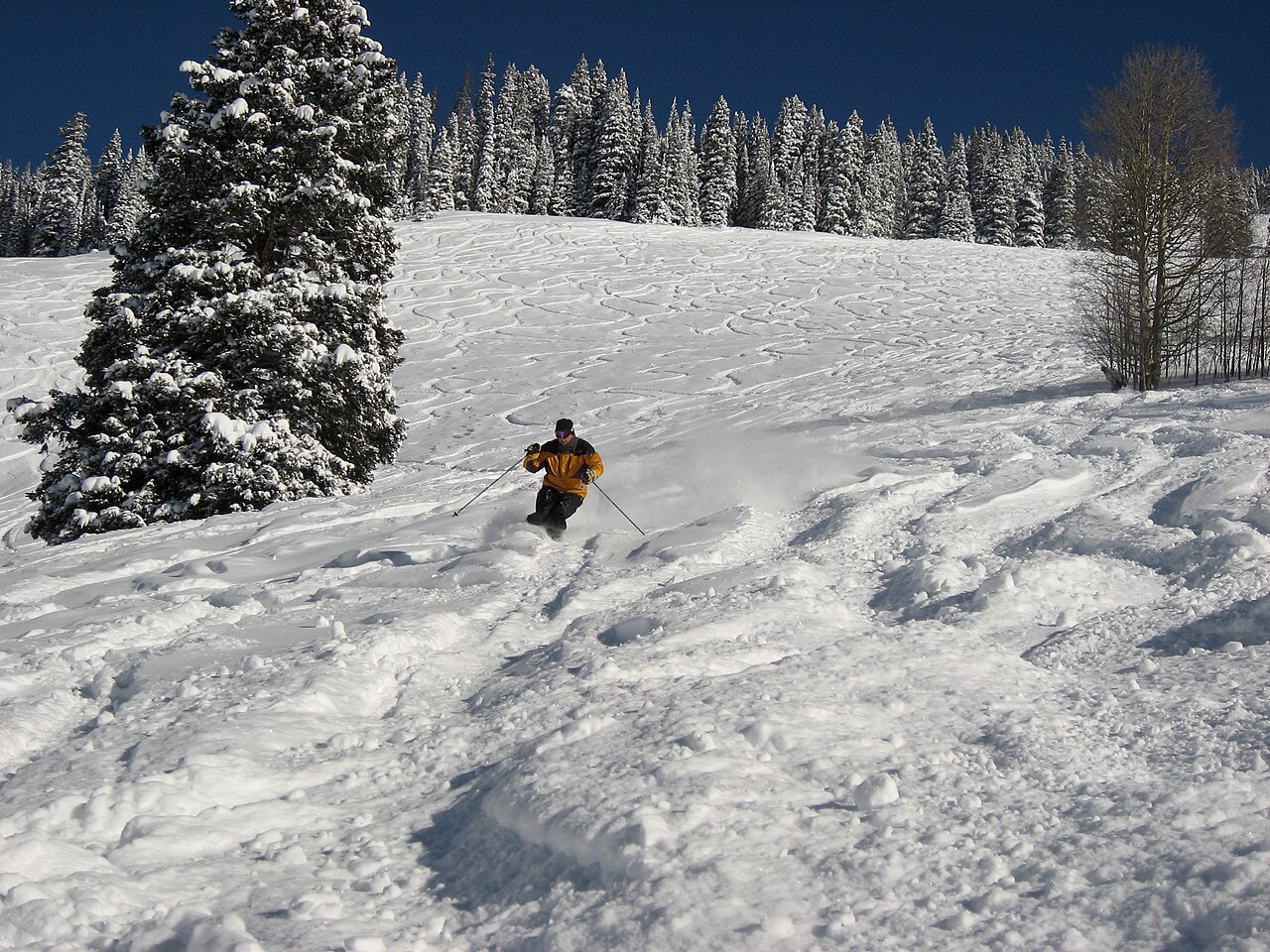 Vail Mountain 파우더 데이에 슬로프를 내려오는 스키어